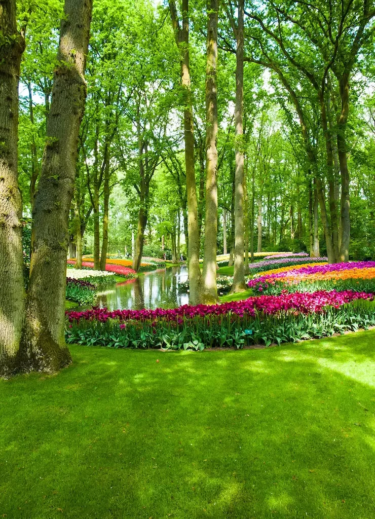 tulip-field-keukenhof-gardens-lisse-netherlands_155003-10440